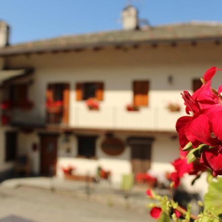 Antey-Saint-André Agriturismo Au Jardin Fleuri מראה חיצוני תמונה