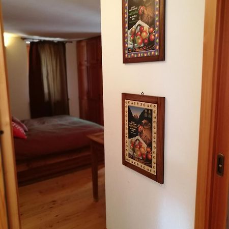 Antey-Saint-André Agriturismo Au Jardin Fleuri מראה חיצוני תמונה