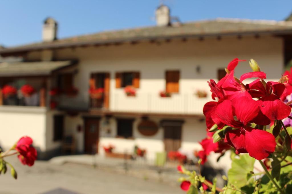 Antey-Saint-André Agriturismo Au Jardin Fleuri מראה חיצוני תמונה